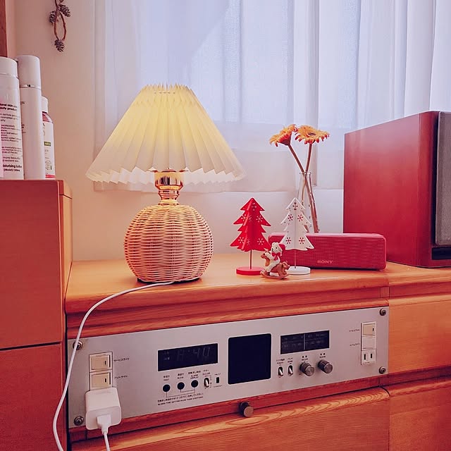 surviveさんの部屋