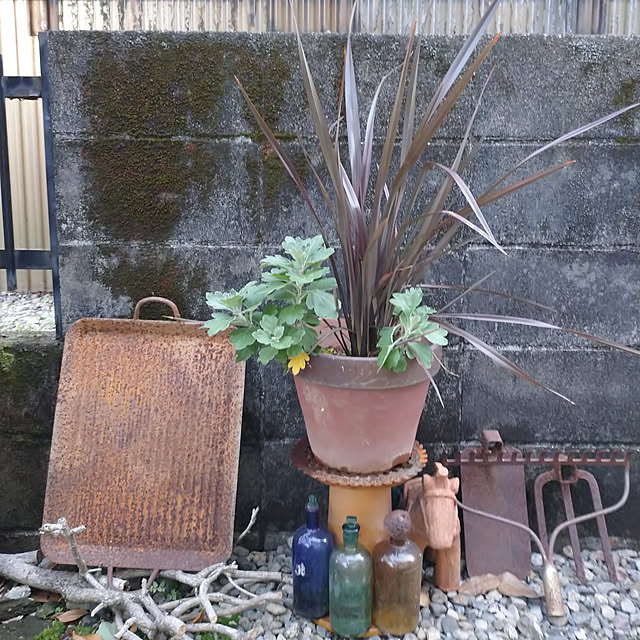 kougaitaさんの実例写真