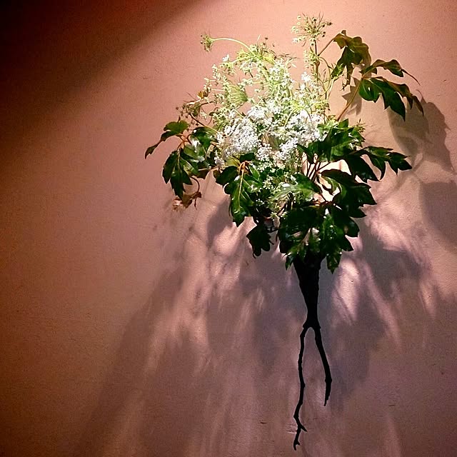 Gravityさんの実例写真