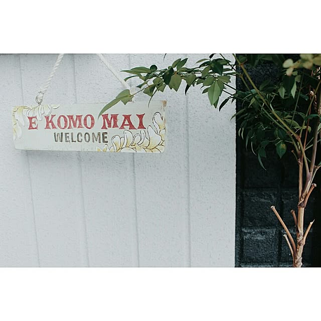 erixonさんの実例写真