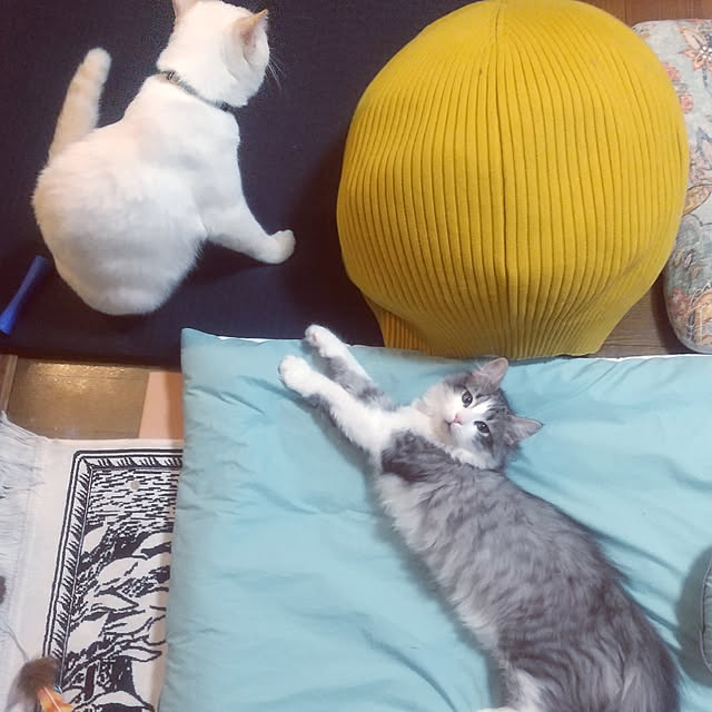 Yさんの実例写真