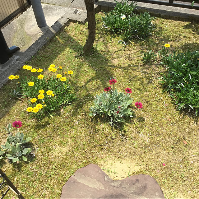 kakoさんの実例写真