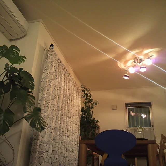dicekbeetleさんの実例写真