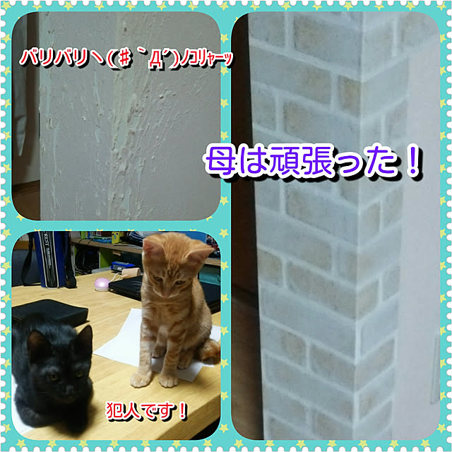 kiyohima229さんの実例写真