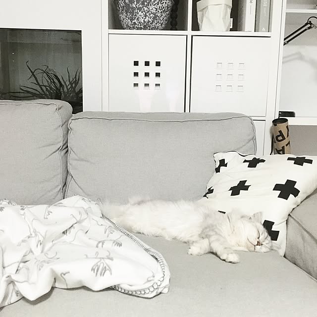 cocoさんの実例写真