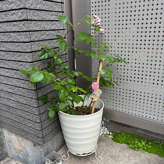 maayaさんの部屋