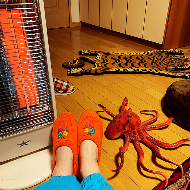 helmet_obake_chanさんの実例写真