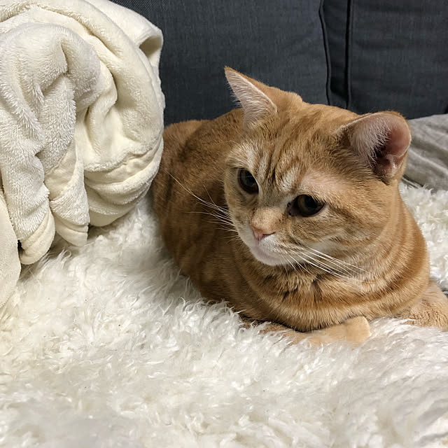 Atelier.mさんの実例写真