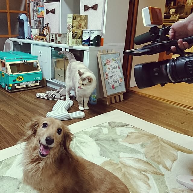 ae86maniaさんの実例写真