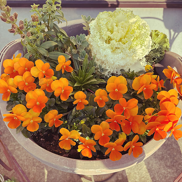 vanity.39さんの実例写真