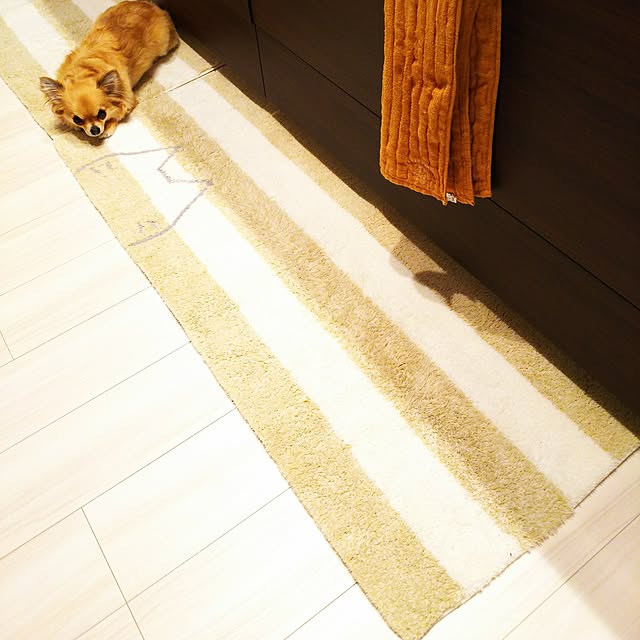 kojikojiさんの実例写真