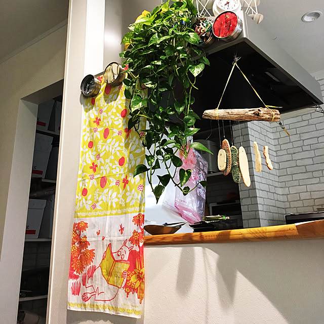 isayuchanさんの実例写真