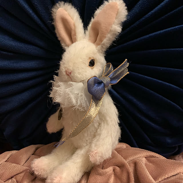 AYUKOさんの実例写真