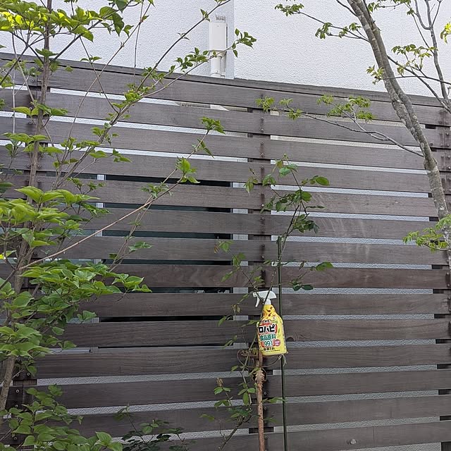 nolleyさんの部屋