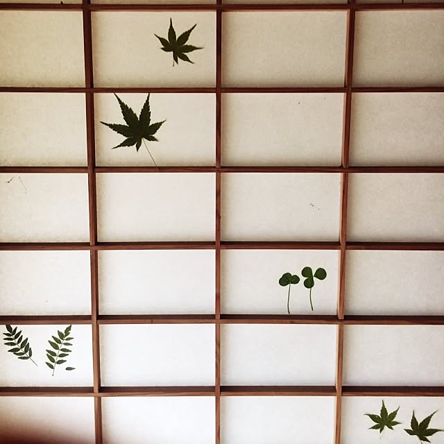 玄関/入り口/自然いっぱい/田舎/古民家リノベーション/DIY...などのインテリア実例 - 2014-10-06 12:14:29