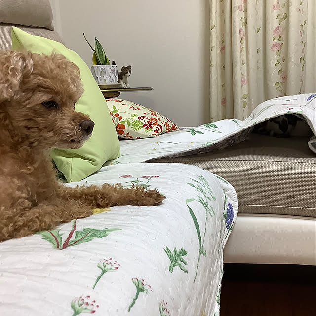 haruminさんの実例写真