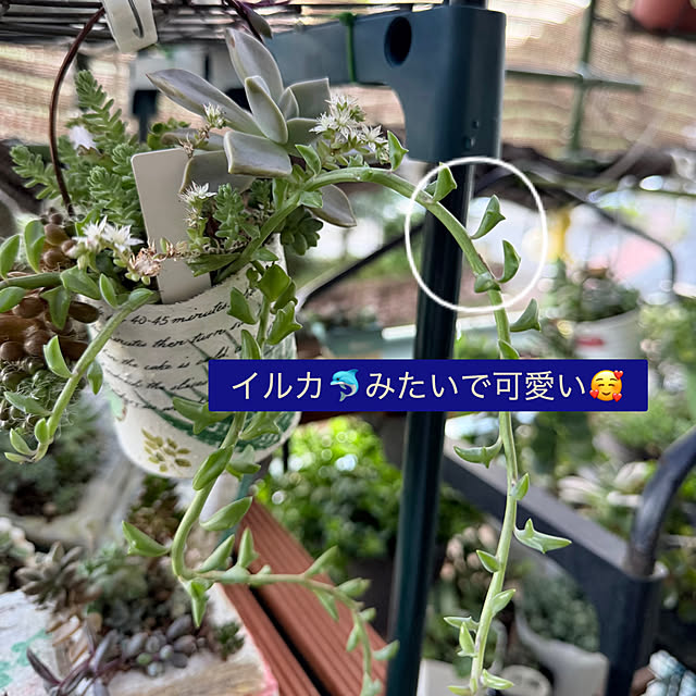 Aqettyさんの部屋