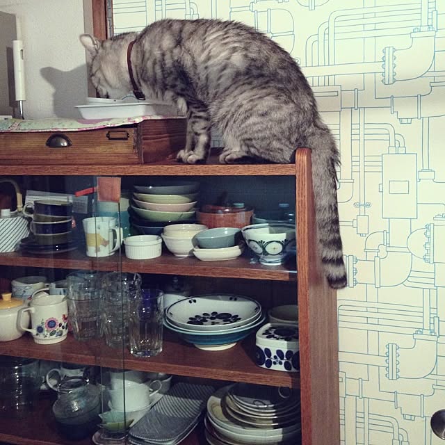 EkkiMukkさんの実例写真