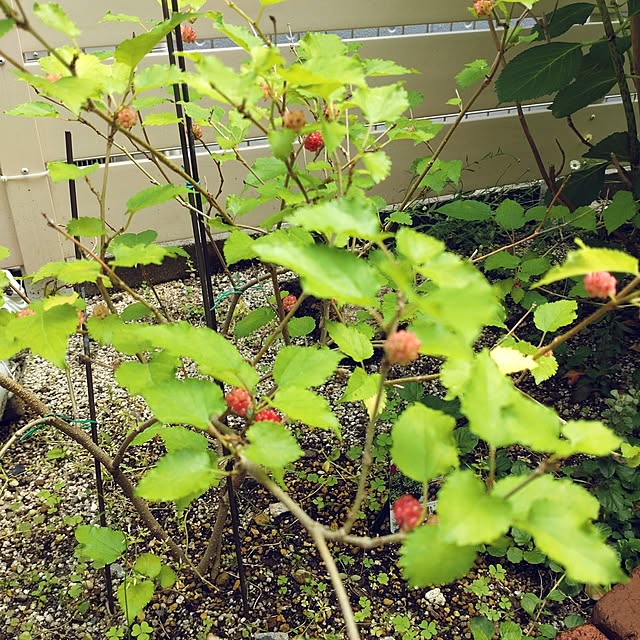 Bienvenueさんの部屋