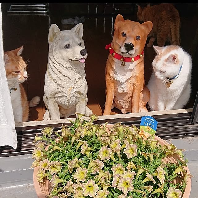 NOAHさんの部屋