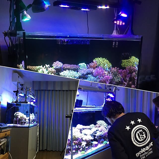 aquarium_seaさんの実例写真