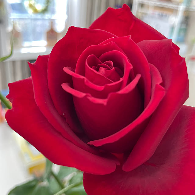 Andaluciaさんの部屋