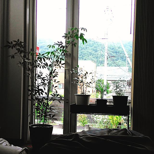 chanさんの実例写真