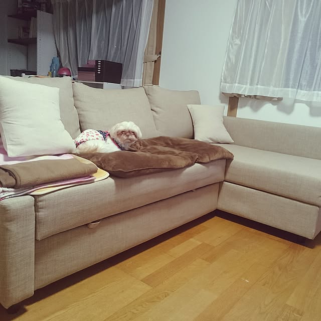 kanaeさんの実例写真