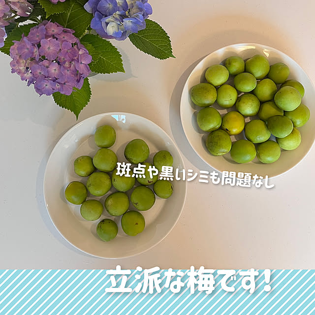 tomokonさんの部屋