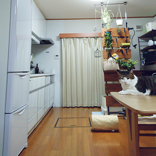 nachiさんの実例写真