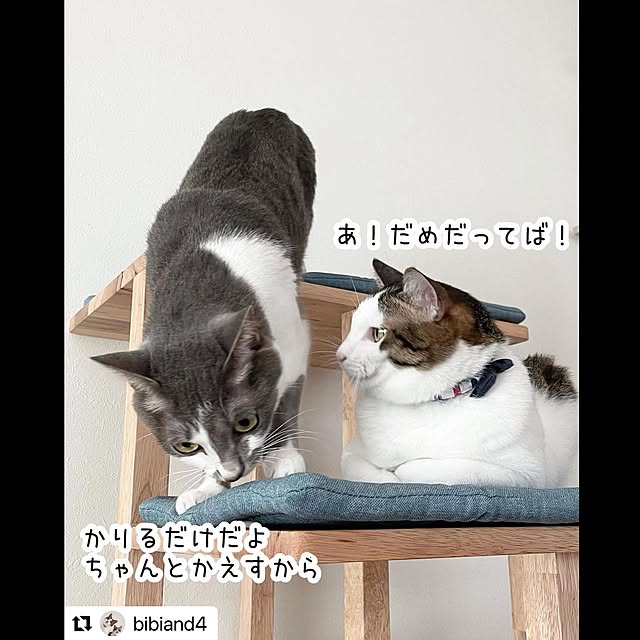 hikari.gtさんの実例写真