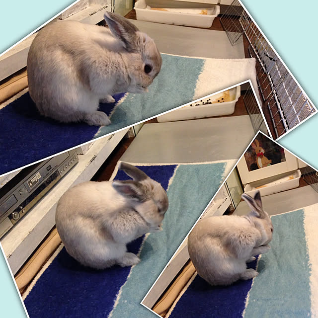 yokomokoさんの実例写真