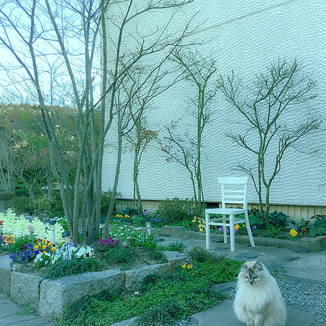 marrymisuzuさんの実例写真