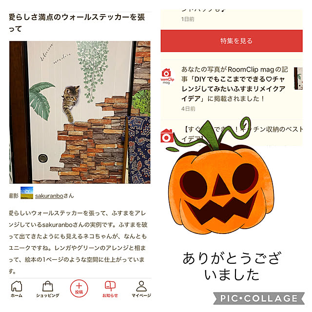 sakuranboさんの実例写真