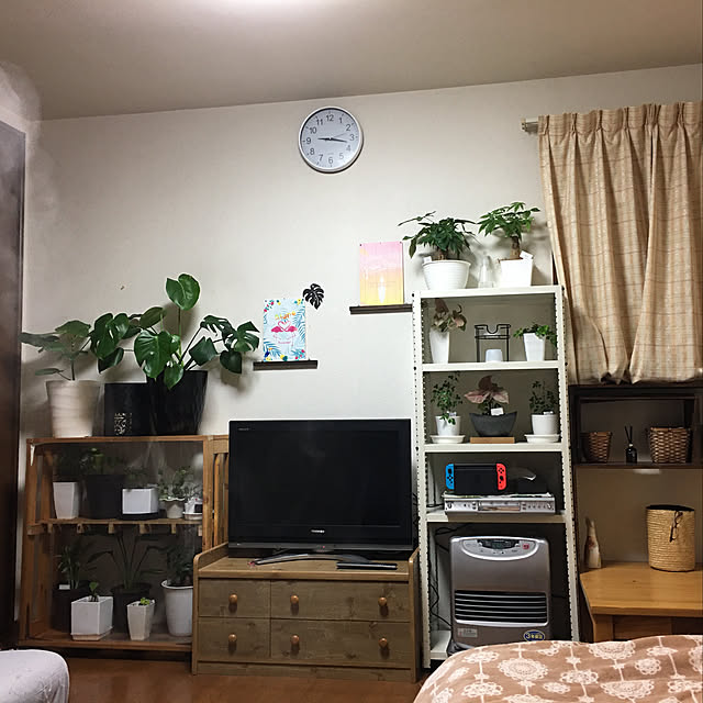ayuさんの実例写真