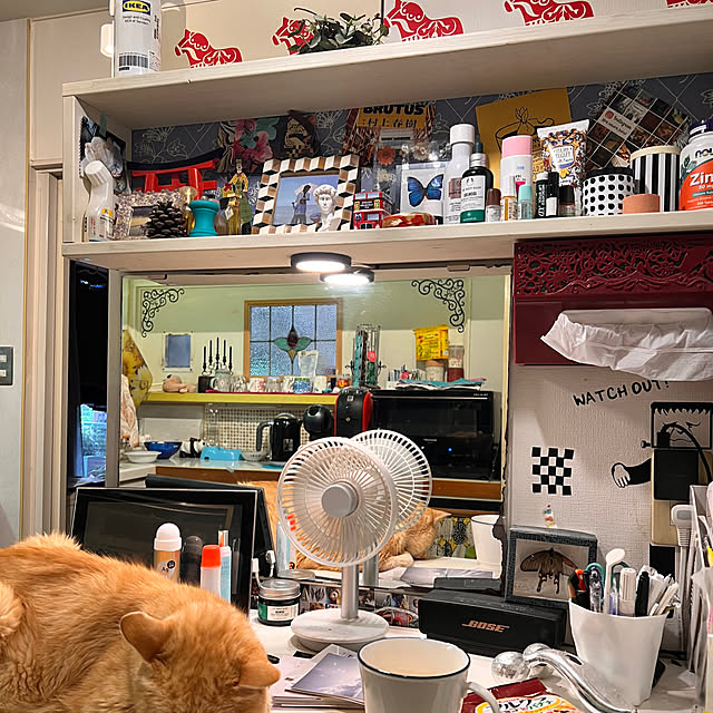YYIさんの実例写真