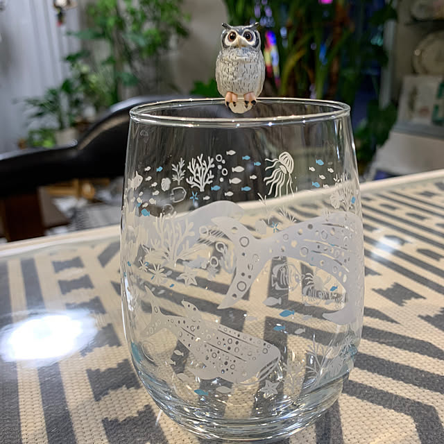 Aqettyさんの部屋