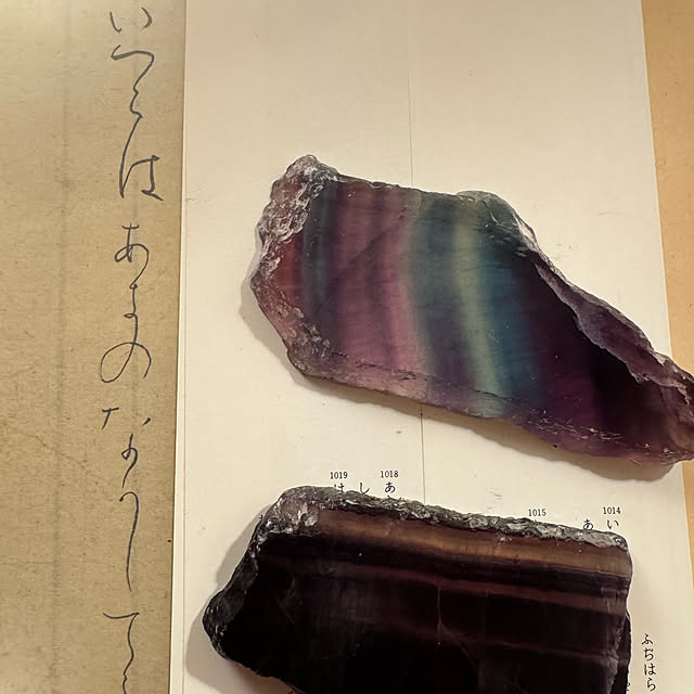 mamizaさんの部屋