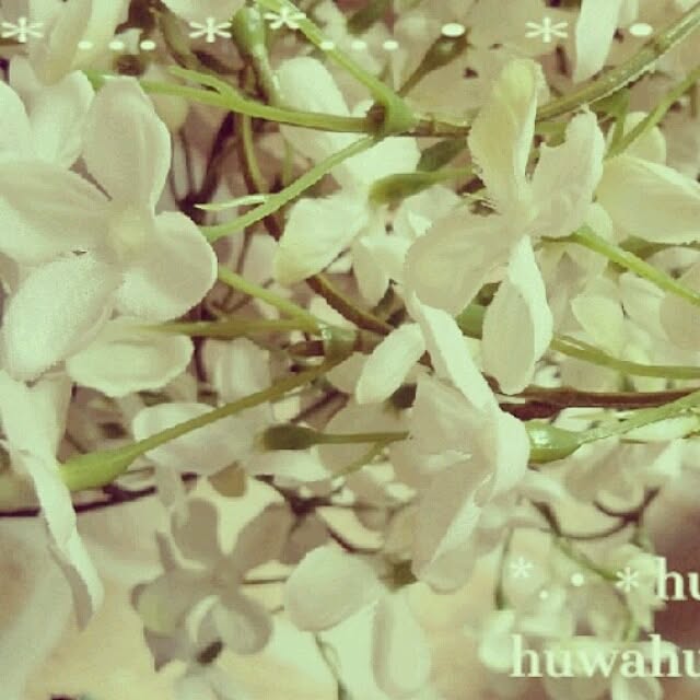 huwahuwa.mokumokuさんの実例写真