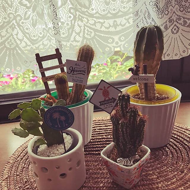 Quuさんの実例写真