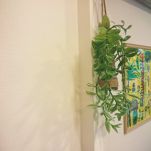 nao525さんの実例写真