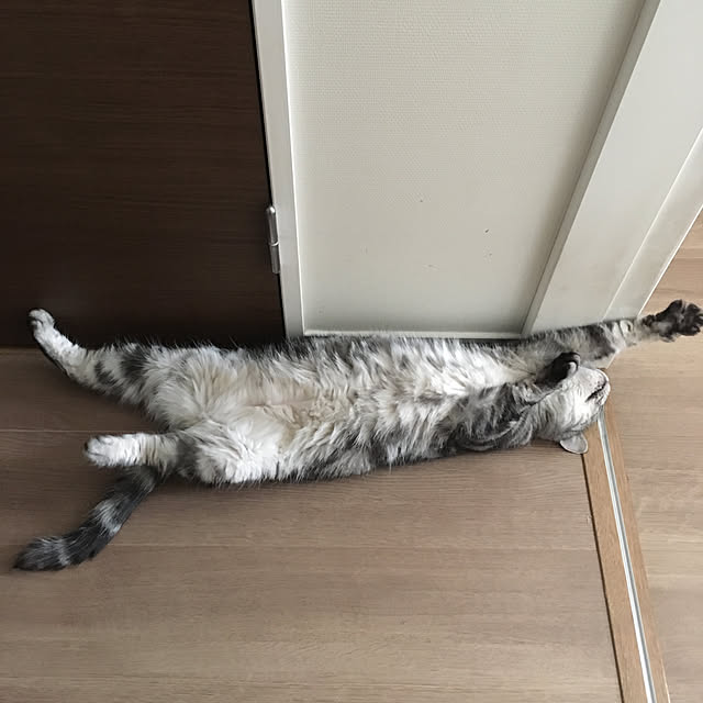 mikomaruさんの実例写真