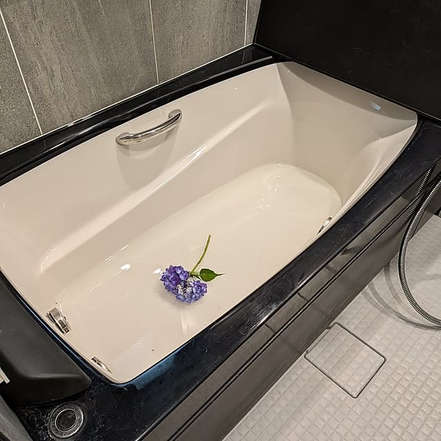 botanさんの部屋