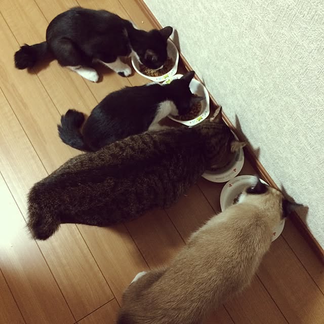 mari23さんの実例写真