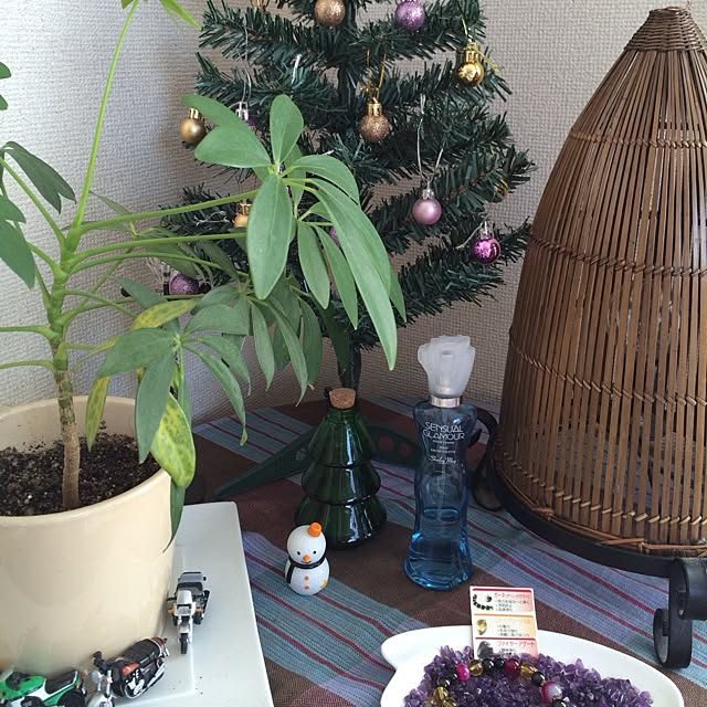 milkteamikaさんの実例写真