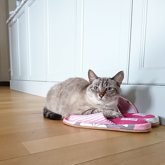 bonobono54さんの実例写真