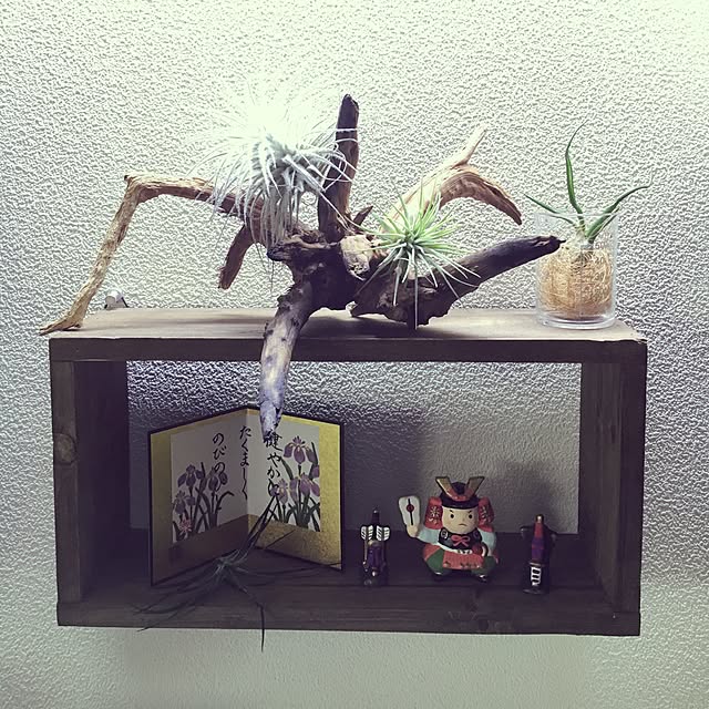 yuuさんの実例写真