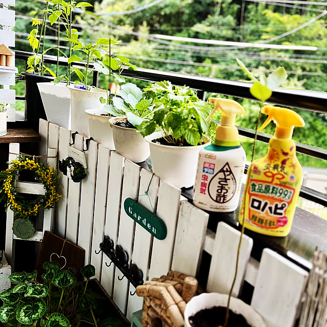 NAOさんの部屋