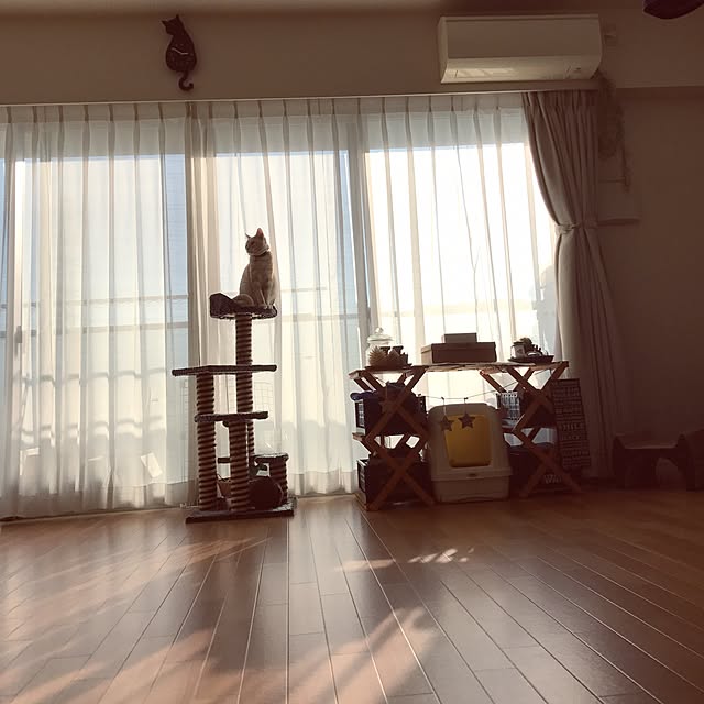 hiyupan88さんの実例写真