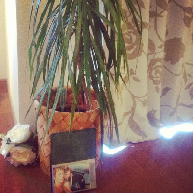 Ruiruiさんの実例写真